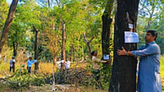 Thane News: Hundreds Of Trees Axed Prematurely At Regional Mental Hospital Site; NCP(SP) Demands Action Against Officials