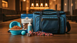Pet Parents Need Better Travel Planning Now