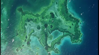 Why The Visual Density Of Space-Captured Algal Blooms Challenges Global Marine Conservation Models