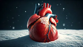 Snow Shovelling Peril: Heart Attack Risks Unveiled and How to Stay Safe This Winter