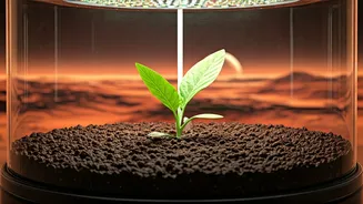 Lunar and Martian Farms: Turning Human Waste into Crops for Space Colonies