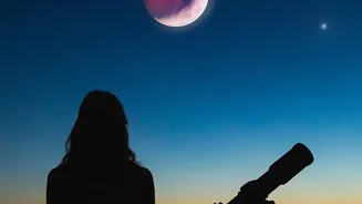 Spotting November Planets: Easy Skywatching Guide For Beginners Across Indian Cities Today