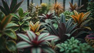 Why Your Balcony Needs Native Plants This Monsoon Season