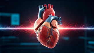 Common Blood Pressure Drug Unexpectedly Boosts Cancer Therapy Efficacy