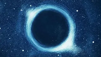 What LUX-ZEPLIN Means For The Search For Dark Matter