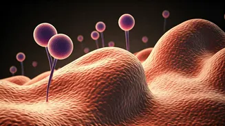 Why Gut Health Is Trending Everywhere