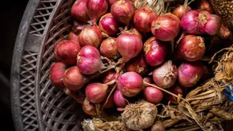 How to grow shallots in your garden
