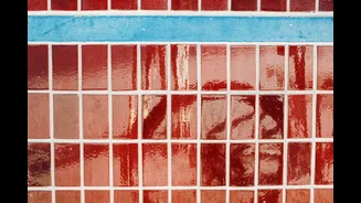How to Prevent and Treat Mould in Indian Homes