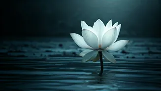 Conquer Yourself: Buddha's Profound Wisdom on Inner Strength Over Outer Victories