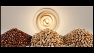 Multigrain Eating Works Better Through Rotation Than Random Mixing