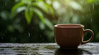 Monsoon Wellness Culture Goes Viral