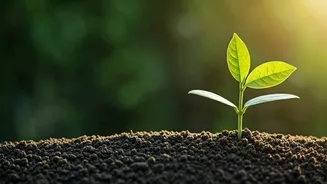 Young Investors Prefer The Long Game