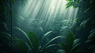 Earth's Wettest Wonders: Unveiling the Top 5 Rainiest Havens on the Planet