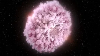 Why changing Neutrino Flavours Could Suppress Some Supernova Explosions When Physical Review D Published The Work