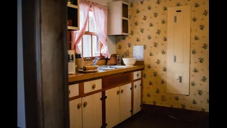 Understanding Mould Growth on Walls: Prevention and Remedies