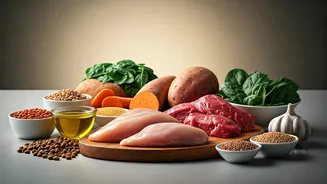 How To Build A Balanced Fresh Dog Food Menu At Home
