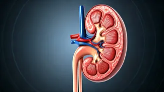 Beat High Uric Acid: 10-Minute Exercise Routine