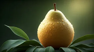 The Ultimate Guide To Better Digestion Using Pears