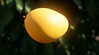 Malda: India's Mango Paradise - When to Visit and How to Get There