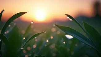 5 AM Affirmations: Cultivate Daily Clarity and Inner Calm