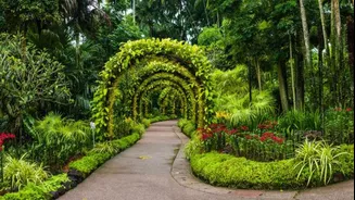 Spain's most stunning botanical gardens: A list