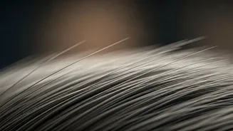 Early Graying: Unveiling the Hidden Causes