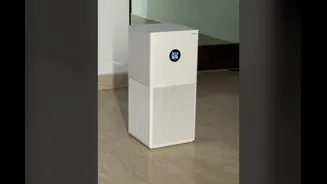 New Air Purifier Not Working? You May Have Missed This Crucial Step