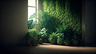 City Homes Need Green Corners, Not Clutter