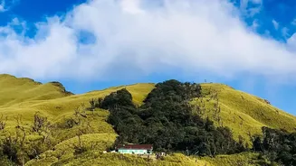 Group Getaways Favour Scenic Hills Over Fast-Paced City Breaks