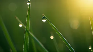 Embrace the Dawn: Powerful 5 AM Affirmations for a Victorious Day