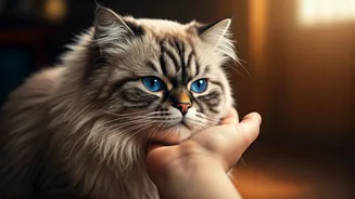 Purrfectly Companionable: 7 Reasons Persian Cats Shine with Children