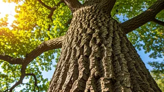 Future-Proof Your Studies: Insights from Esther Duflo