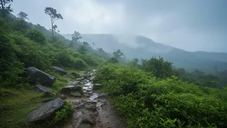 Monsoon Travel Safety: How Western Ghats Hikers Prepare For Flash Floods