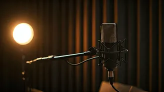 From Rejection to Stardom: Singers' Resilience