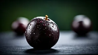 Why Jamun Deserves More Attention