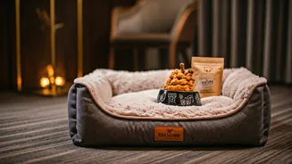 Pet-Friendly Travel Is Getting More Premium Now
