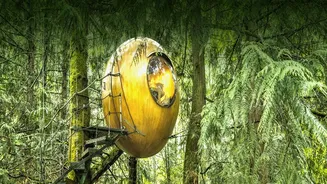 Canadá: as casas esféricas suspensas no ar na Ilha de Vancouver