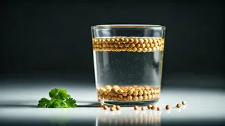 Nutritionists Recommend Coriander Seed Water For Morning Flat Stomach Goals