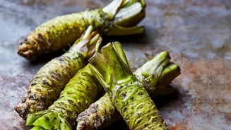 Chefs embrace wild forest ingredients