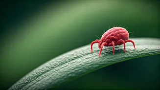 Related Stories banner