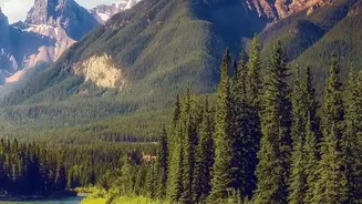 Europe's Growing Wolf Population Creates New Nature Tourism Opportunities