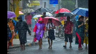 Mumbai Rains: Schools, Colleges Shut In Suburbs As IMD's Red Alert Warns Of Intense Downpour