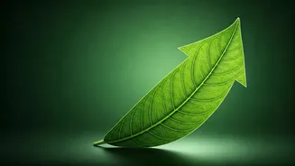 Unlock Better Management Salaries Holding Fast Green Compliance Credentials