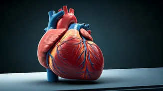 Heart Attack Prevention: 5 Ways to Lower Risk