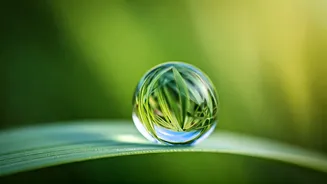 Beyond the Rainbow: Unveiling Nature's Palette for Baby Names