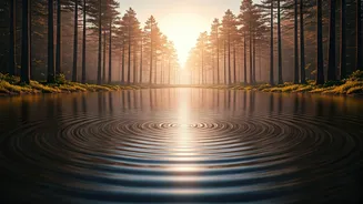 Unveiling Inner Peace: Insights from the Bhagavad Gita's Chapter 4