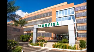 Anvisa recolhe 11 lotes de creatina e BCAA por falhas sanitárias