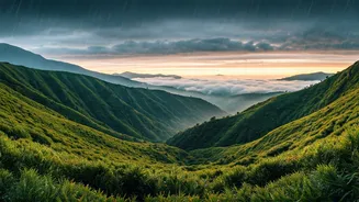 Refresh Mornings Catching Early Mountain Showers In Chikmagalur Peaks