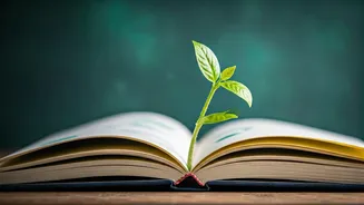 Beyond Grades: Educators' Secrets to Boosting Child Confidence During Exams