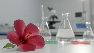 Hibiscus skincare isn't miracle Botox